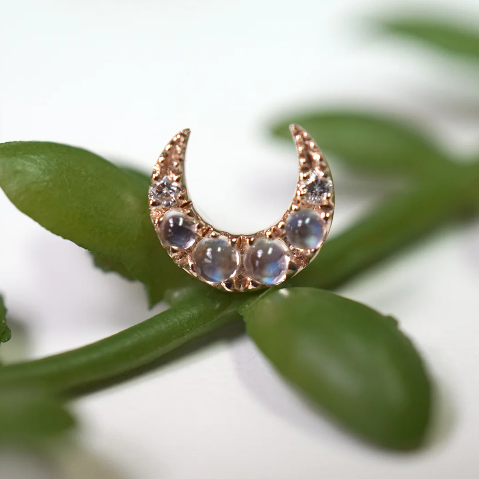 Ayla with Moonstone and Diamond