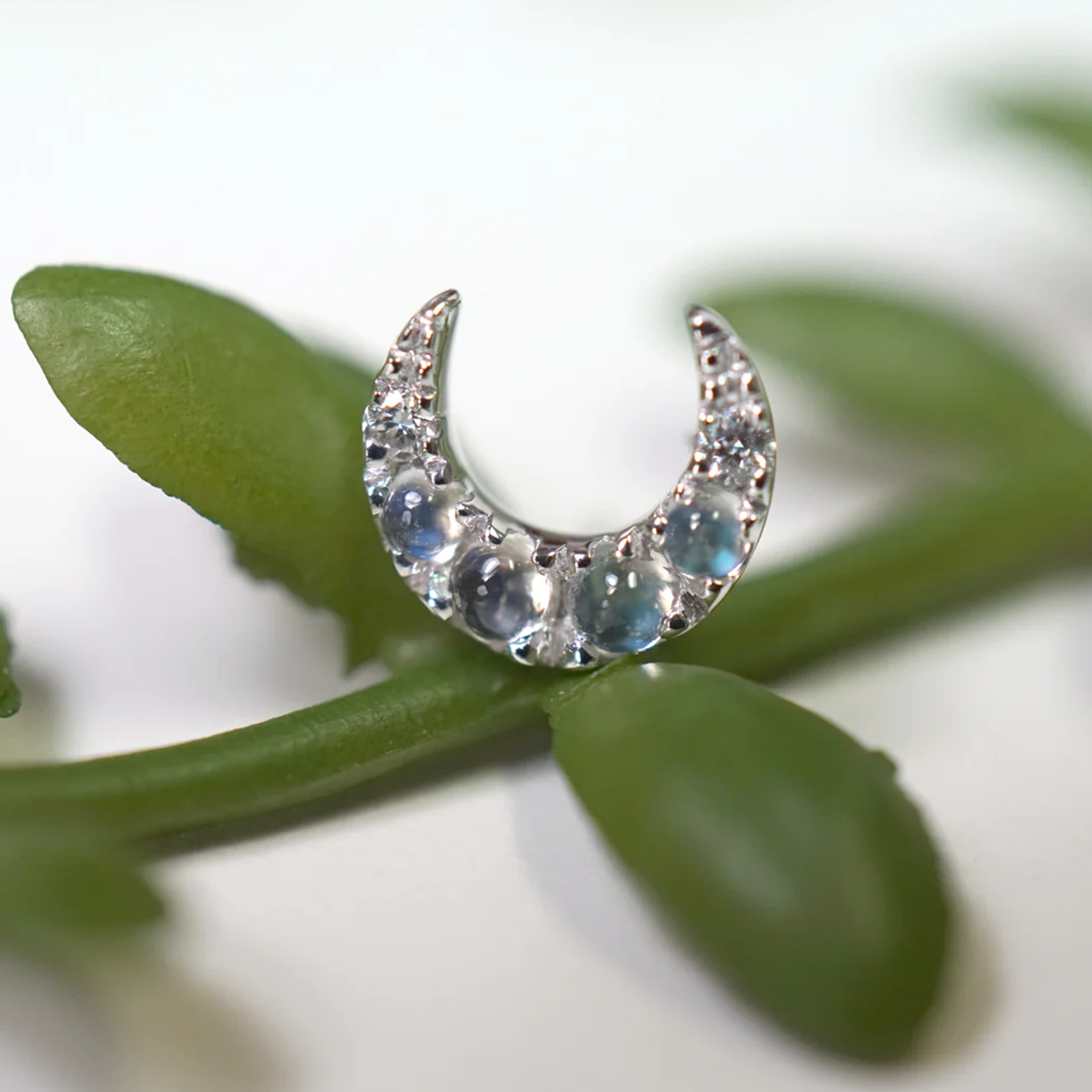 Ayla with Moonstone and Diamond