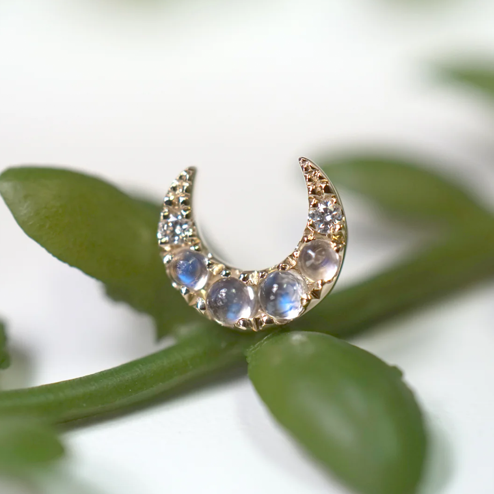 Ayla with Moonstone and Diamond