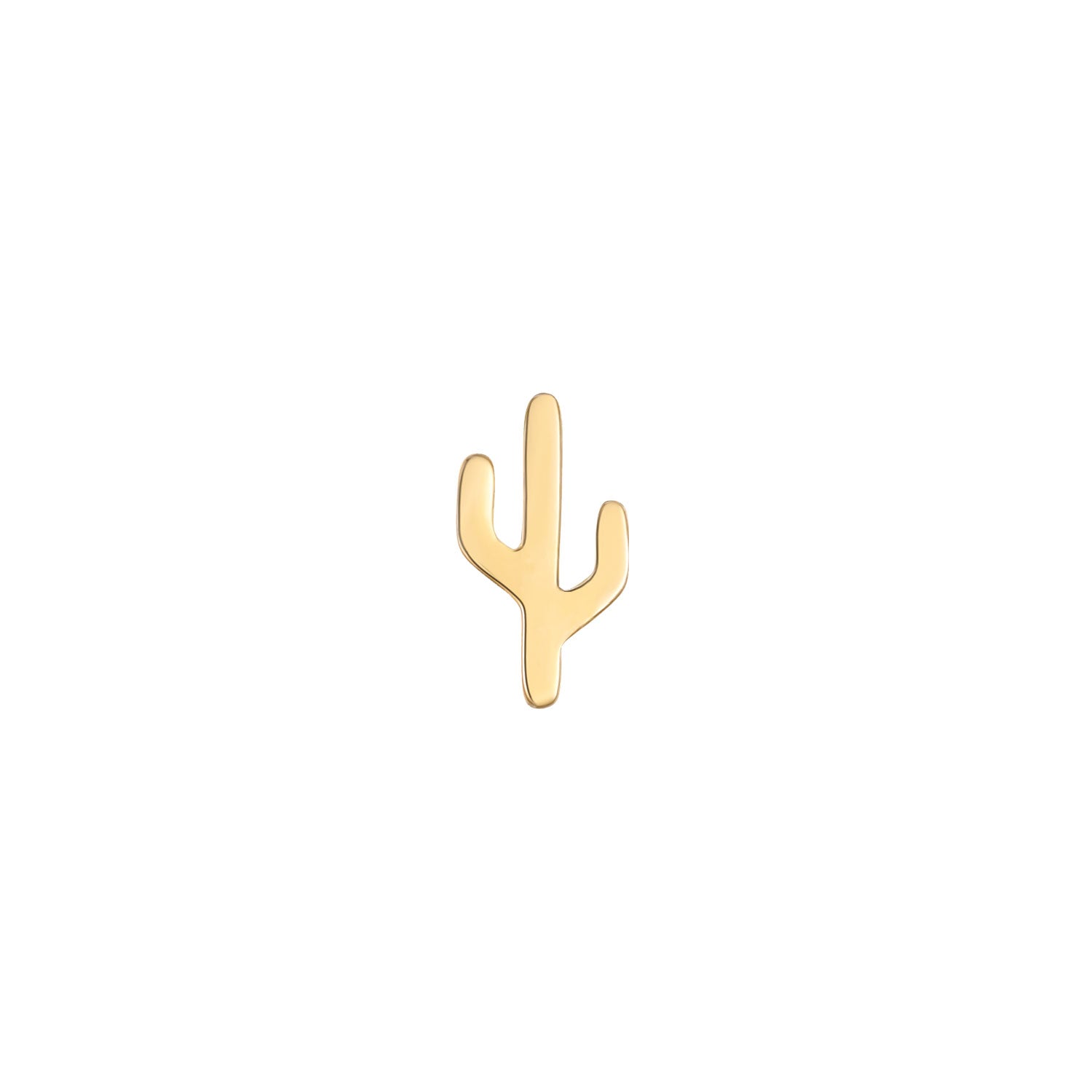 Cactus - Mojave