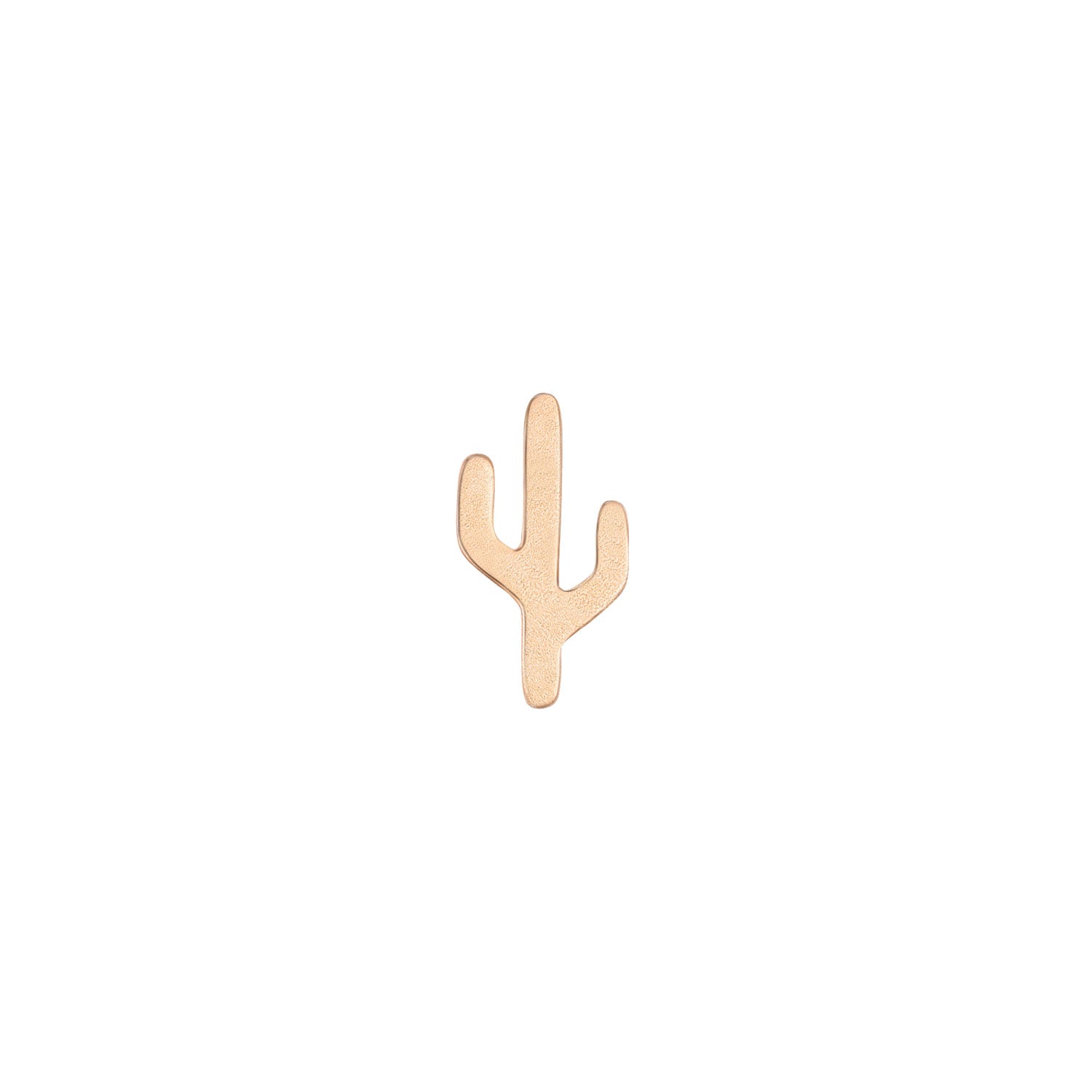 Cactus - Mojave