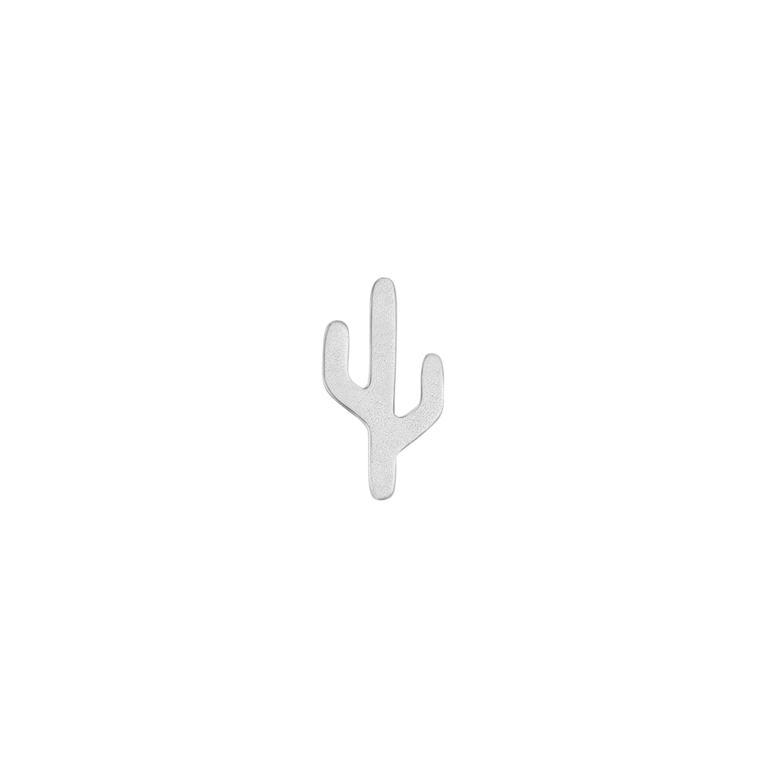 Cactus - Mojave