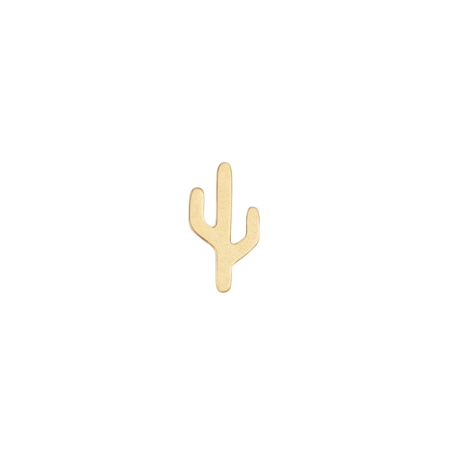 Cactus - Mojave
