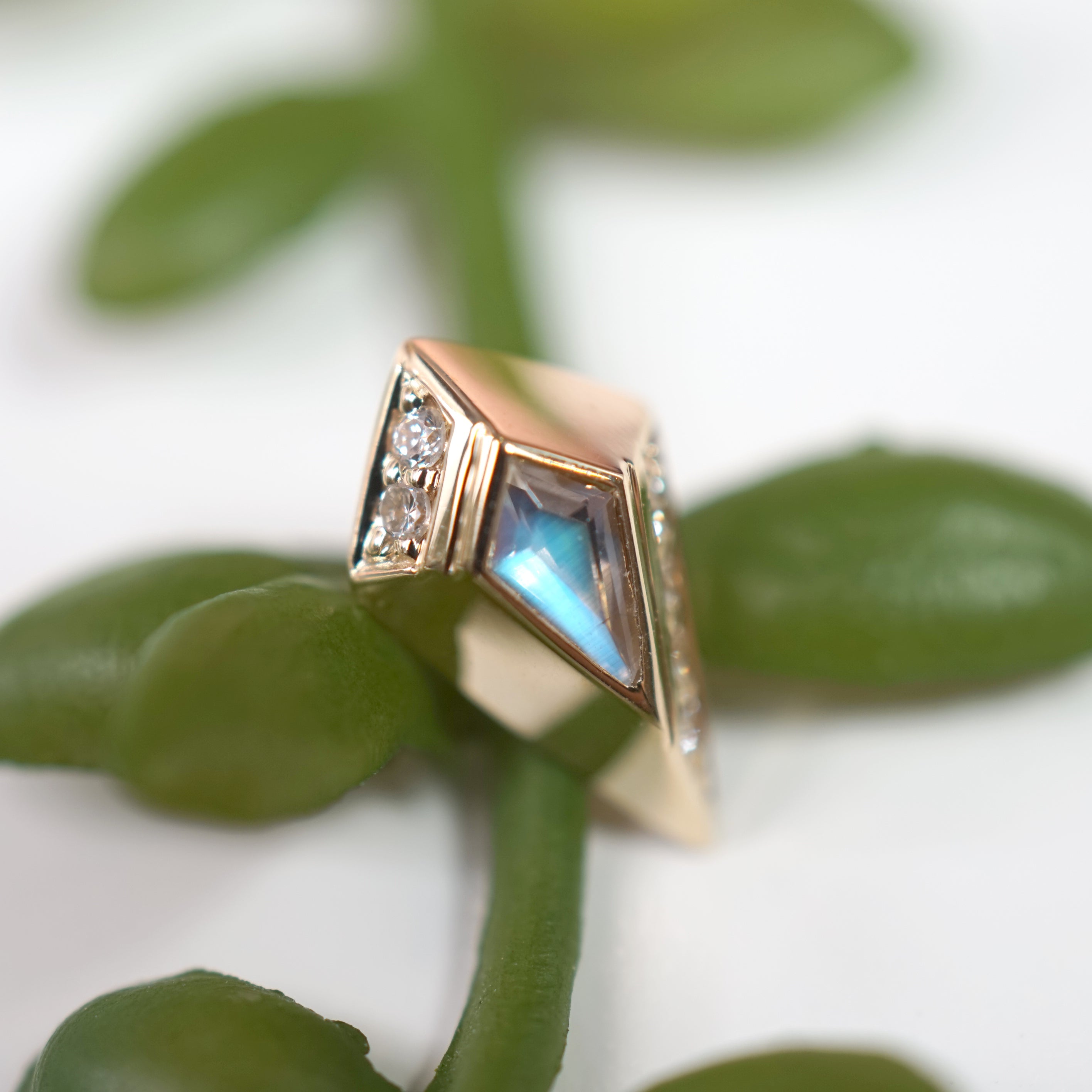 Kite Moonstone with Beveled Gold & Diamond Edge