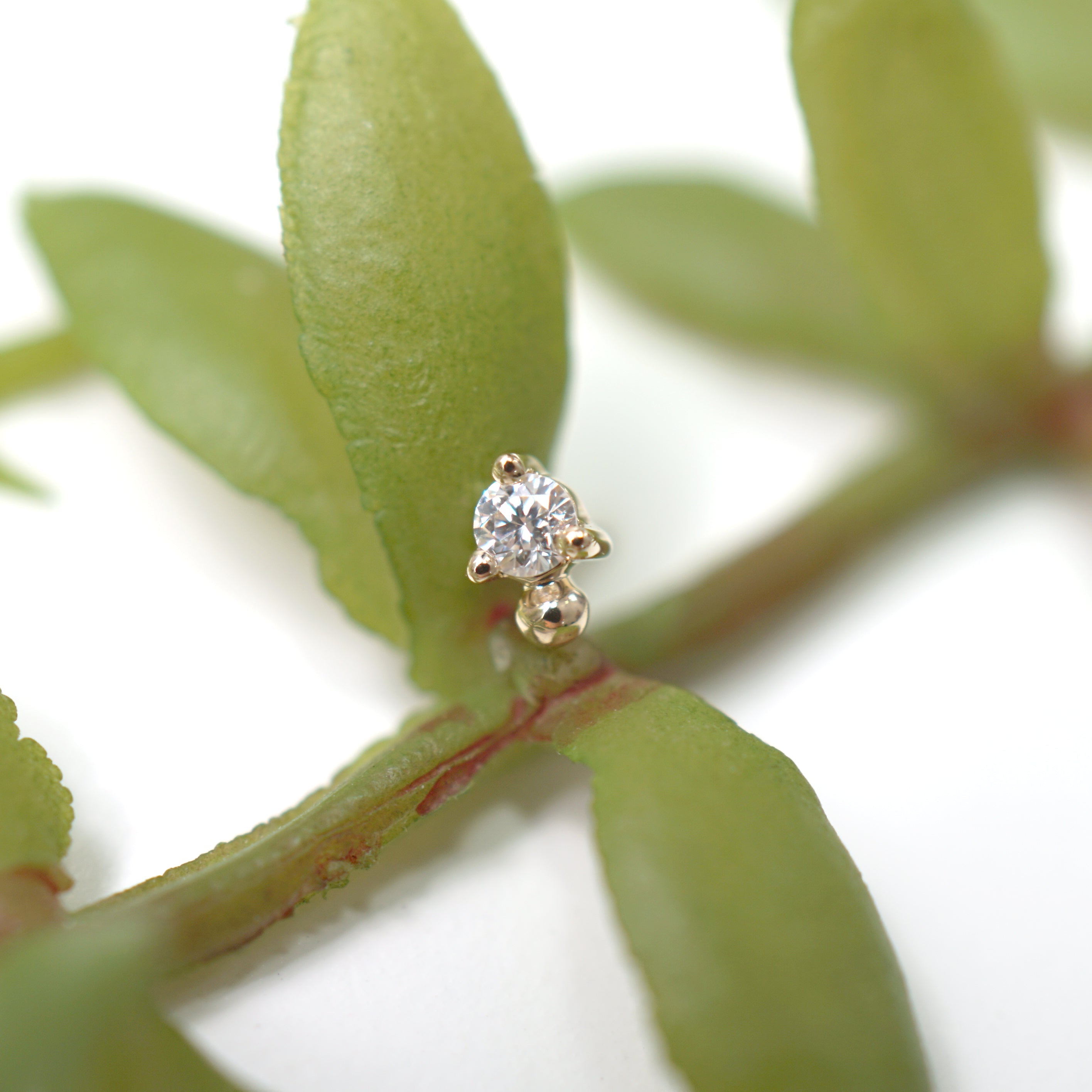 Pippa Dot Mini - Diamond