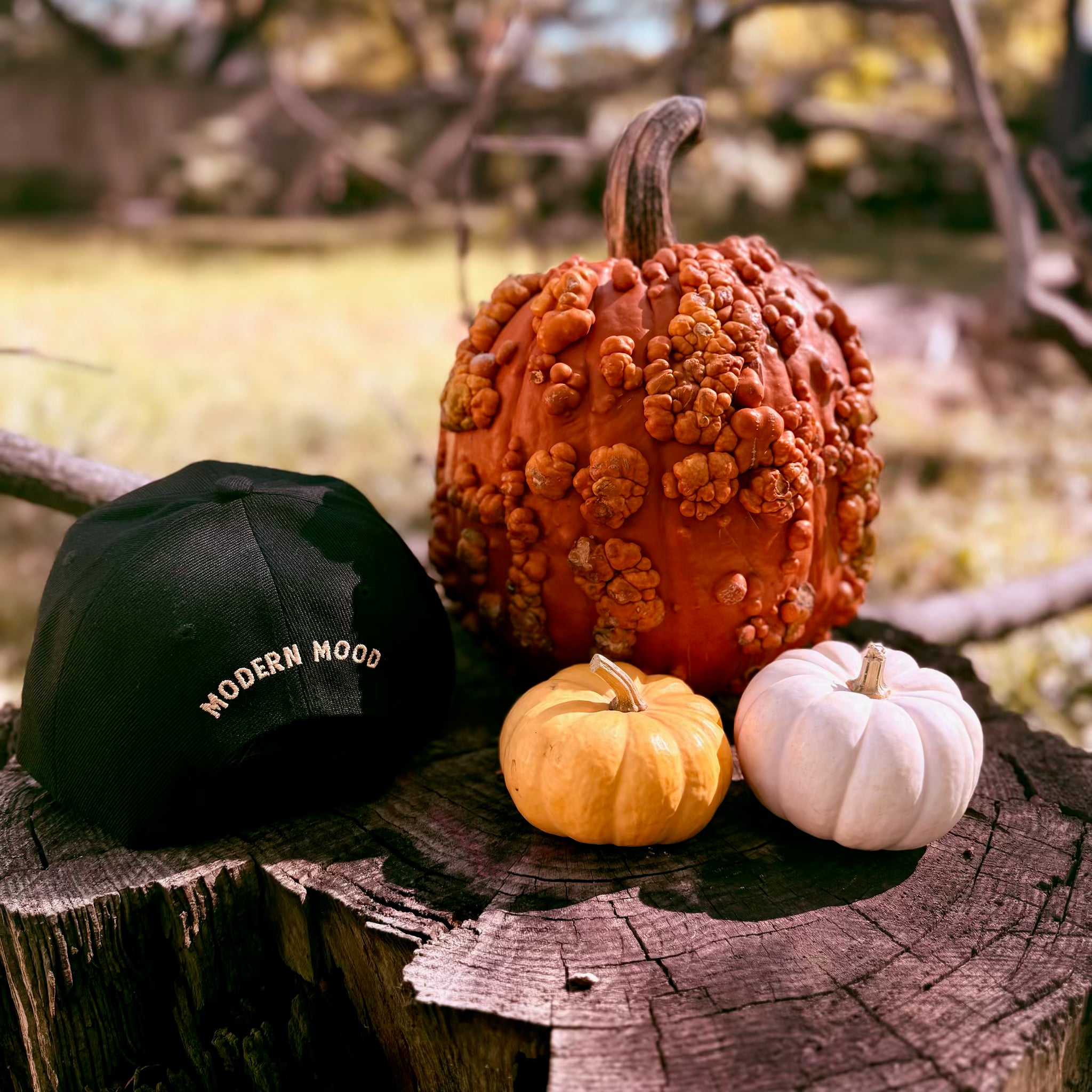 Golden Lens Collective Velcro-back Cap