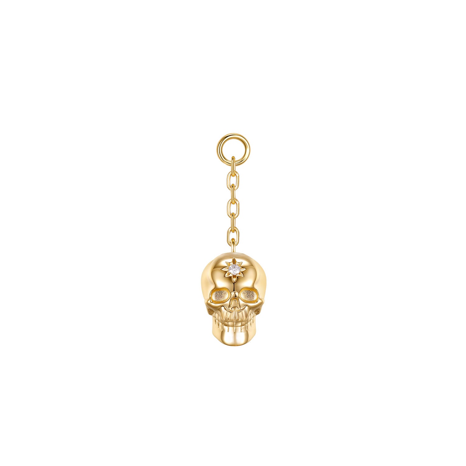 Stardust Skull Charm