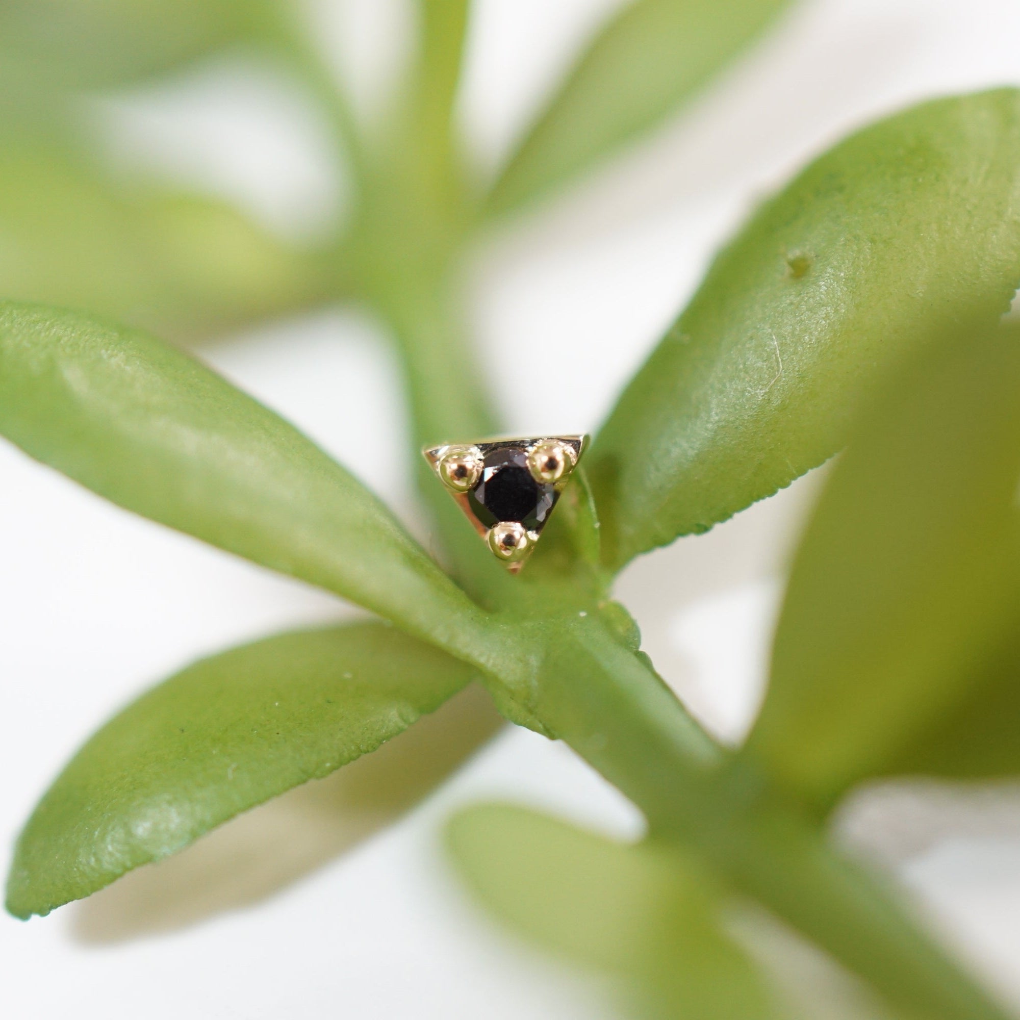 Illuminati - Diamond