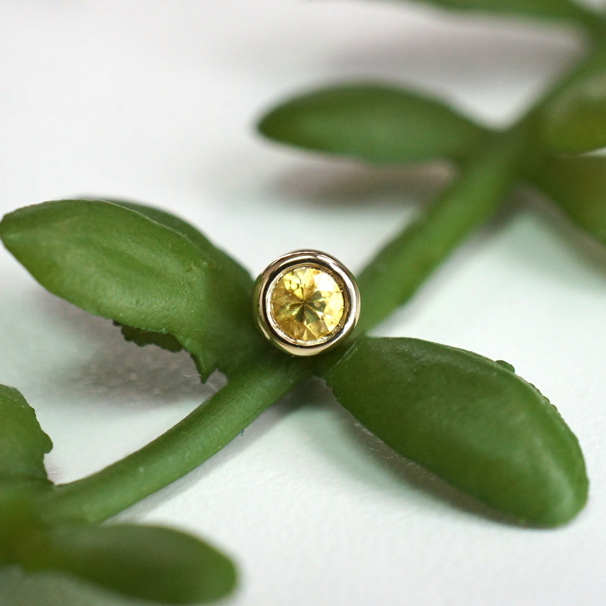 Reitz - Faceted Gemstone