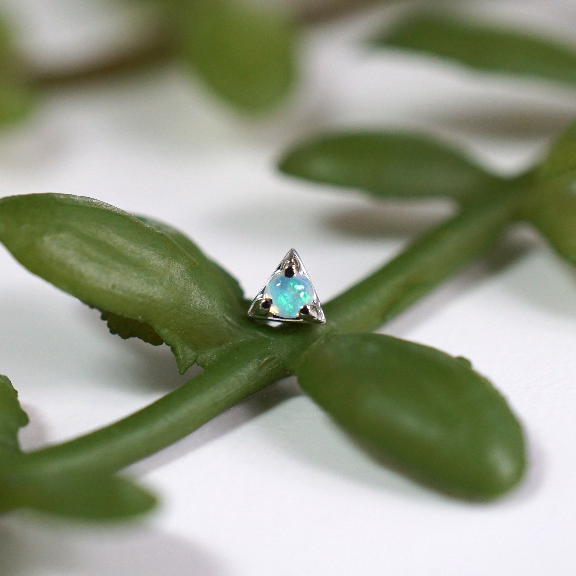 Illuminati - Cabochon Gemstone