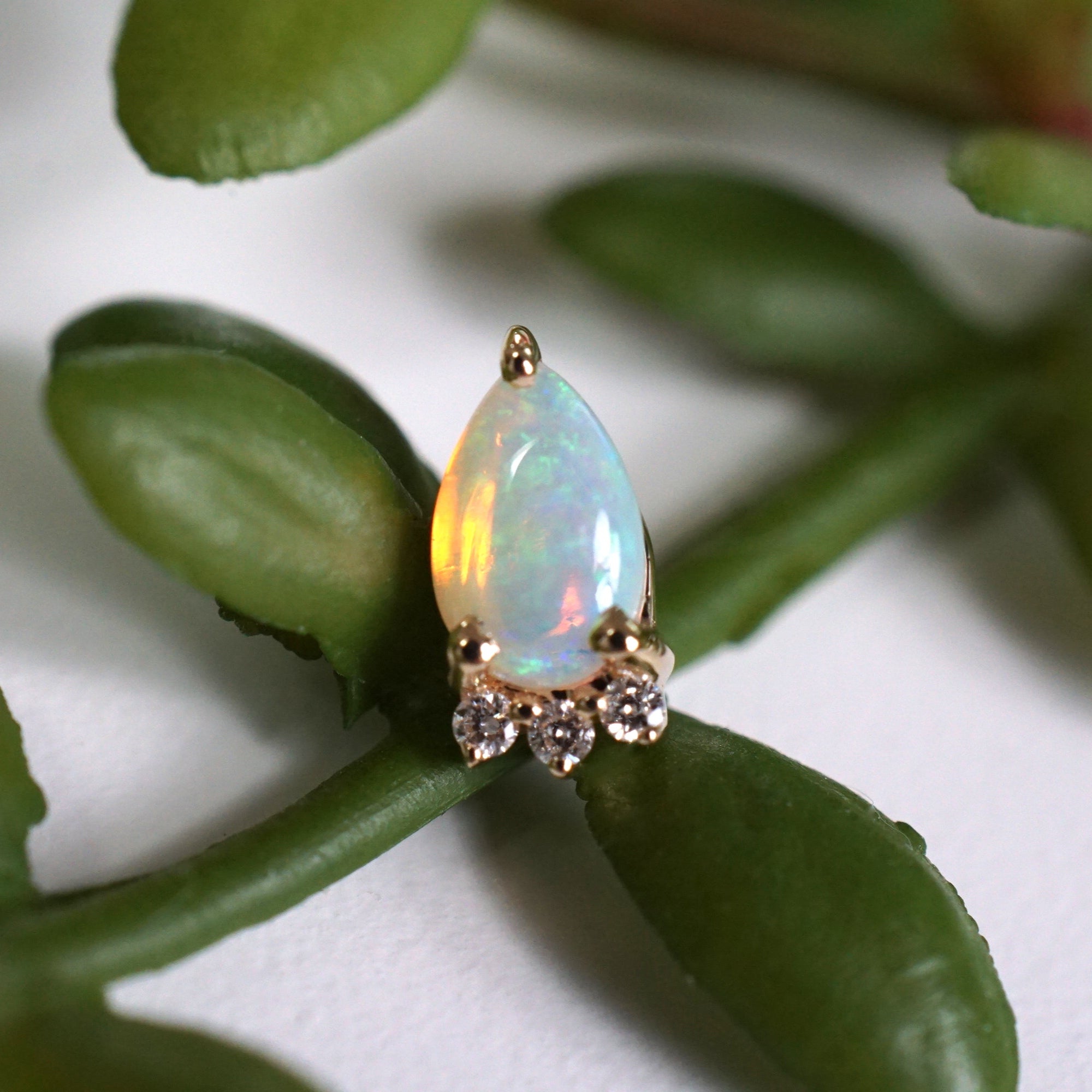 Leia - Pear Opal