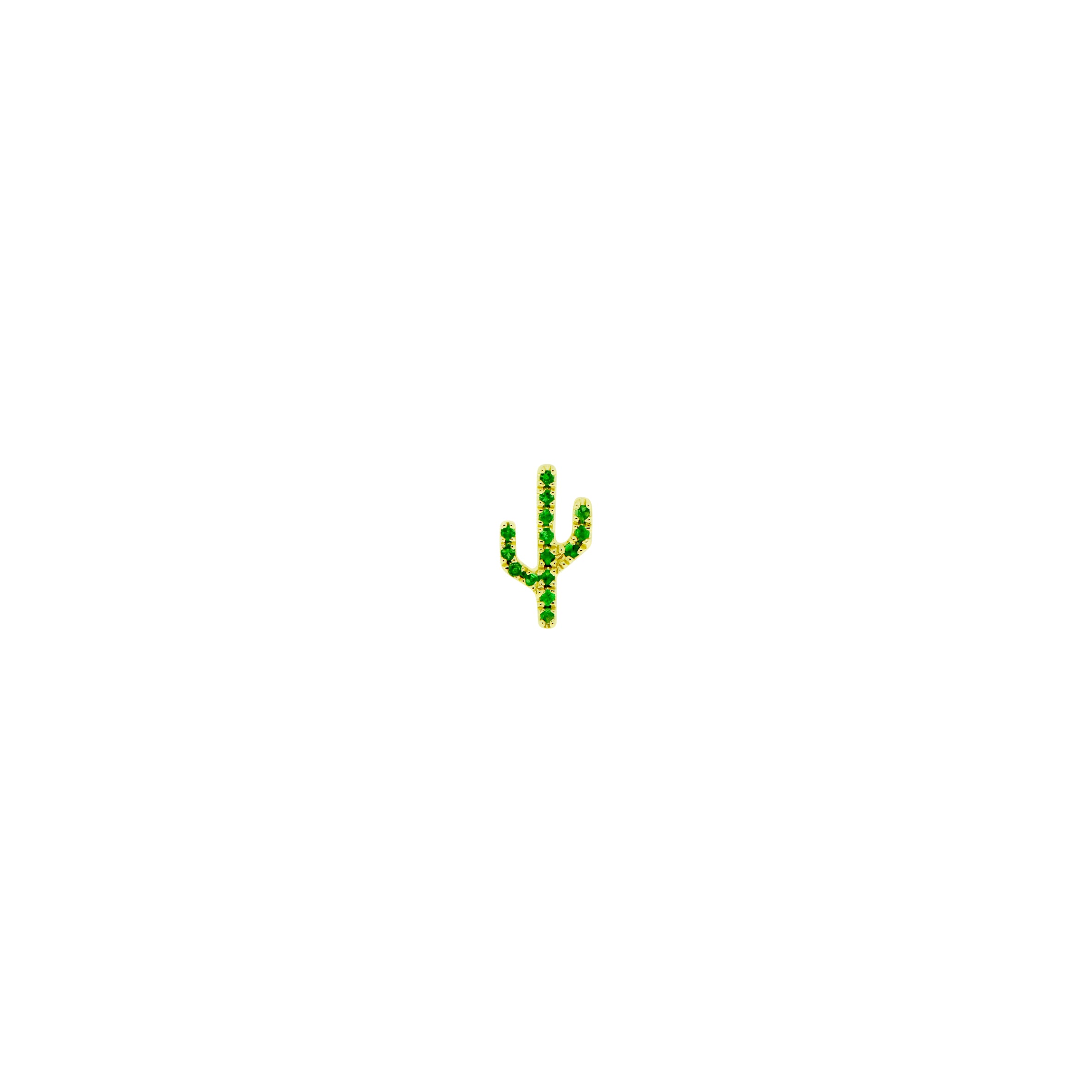 Cactus - Sonoran
