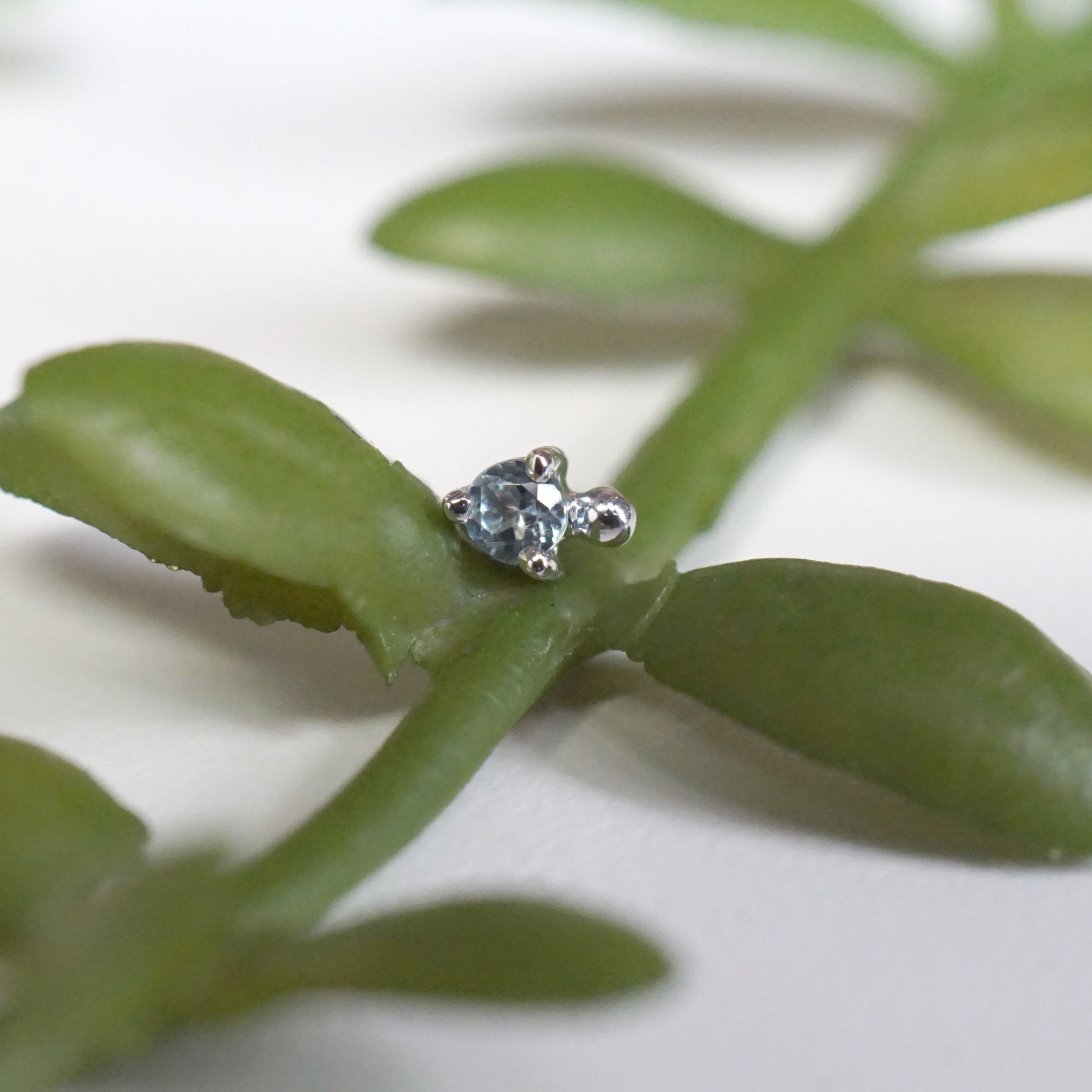 Pippa Dot - Faceted Gemstone