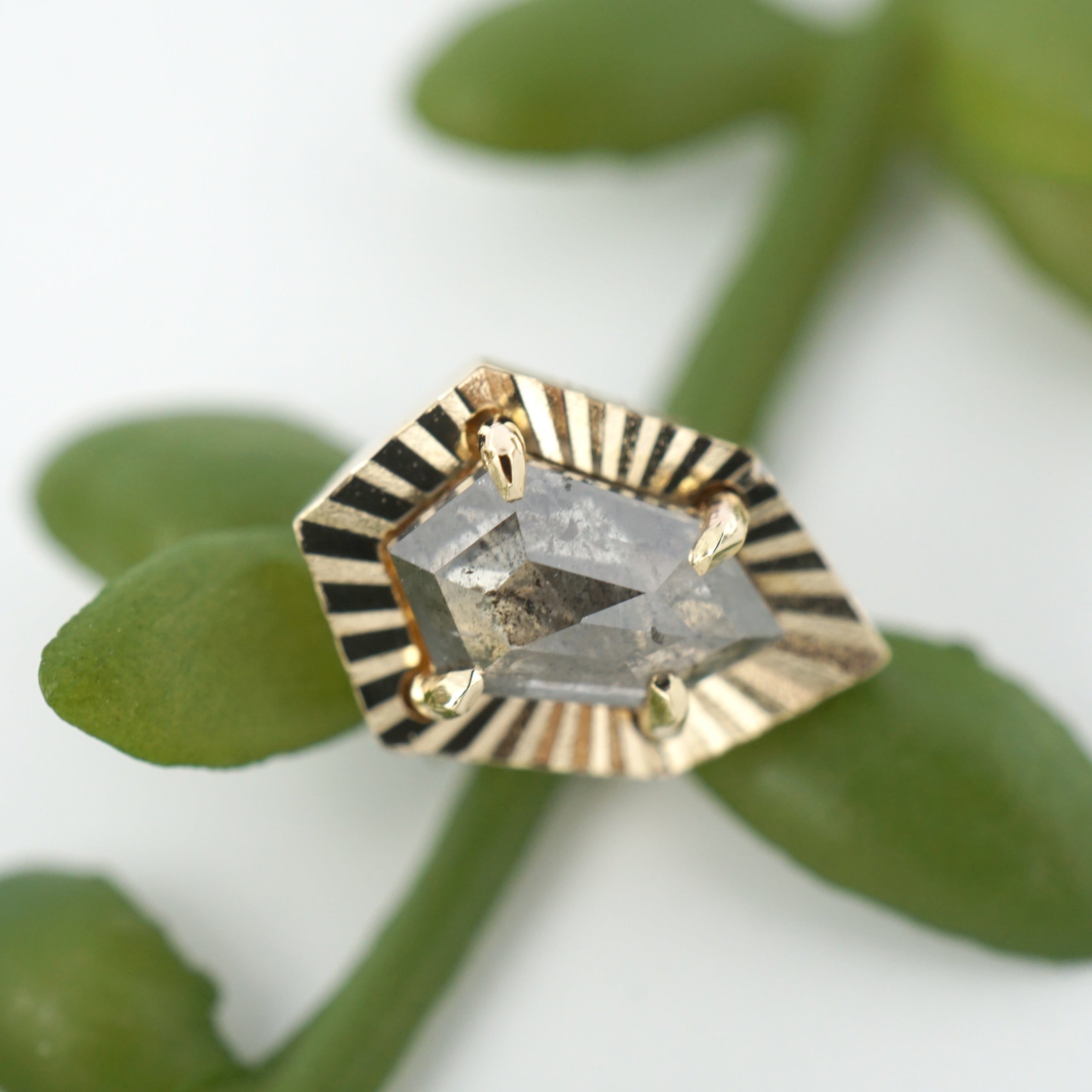 Salt and Pepper Diamond with Ray Gold Edge