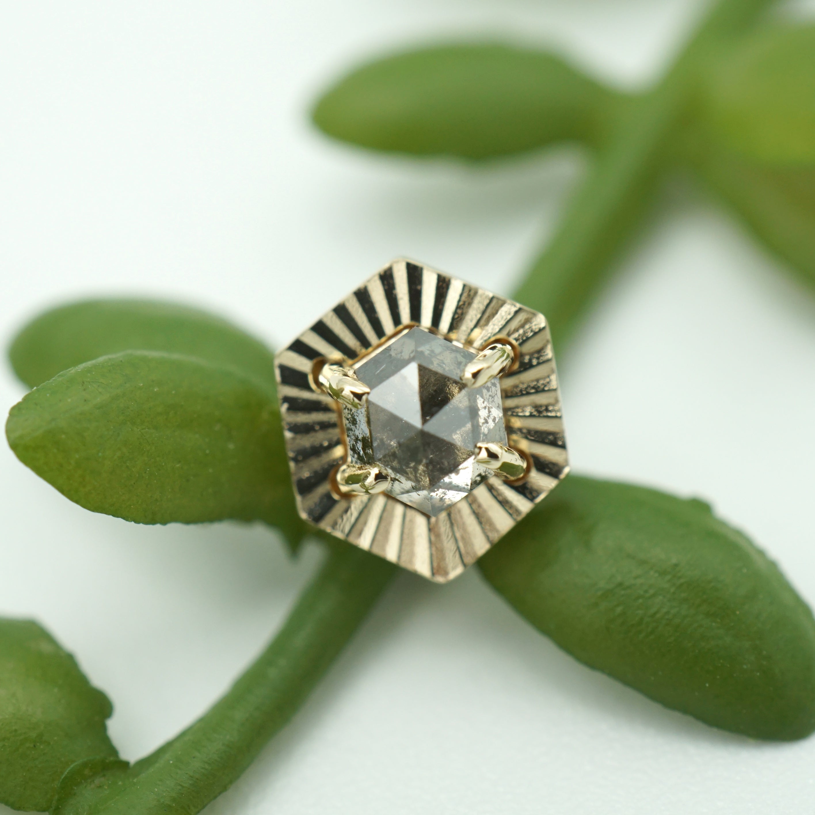 Salt and Pepper Diamond with Ray Gold Edge