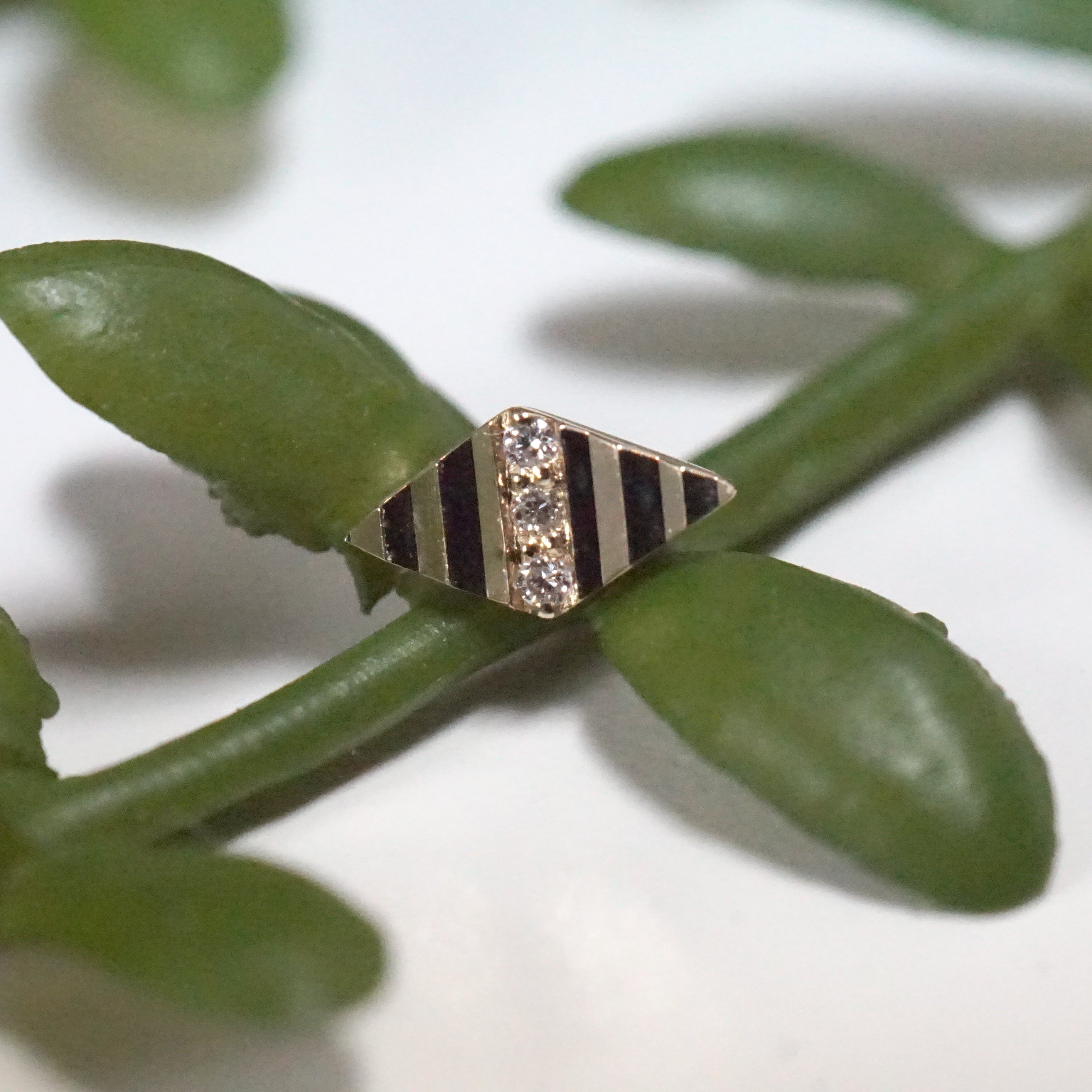 Venus Mini with Accordion Texture