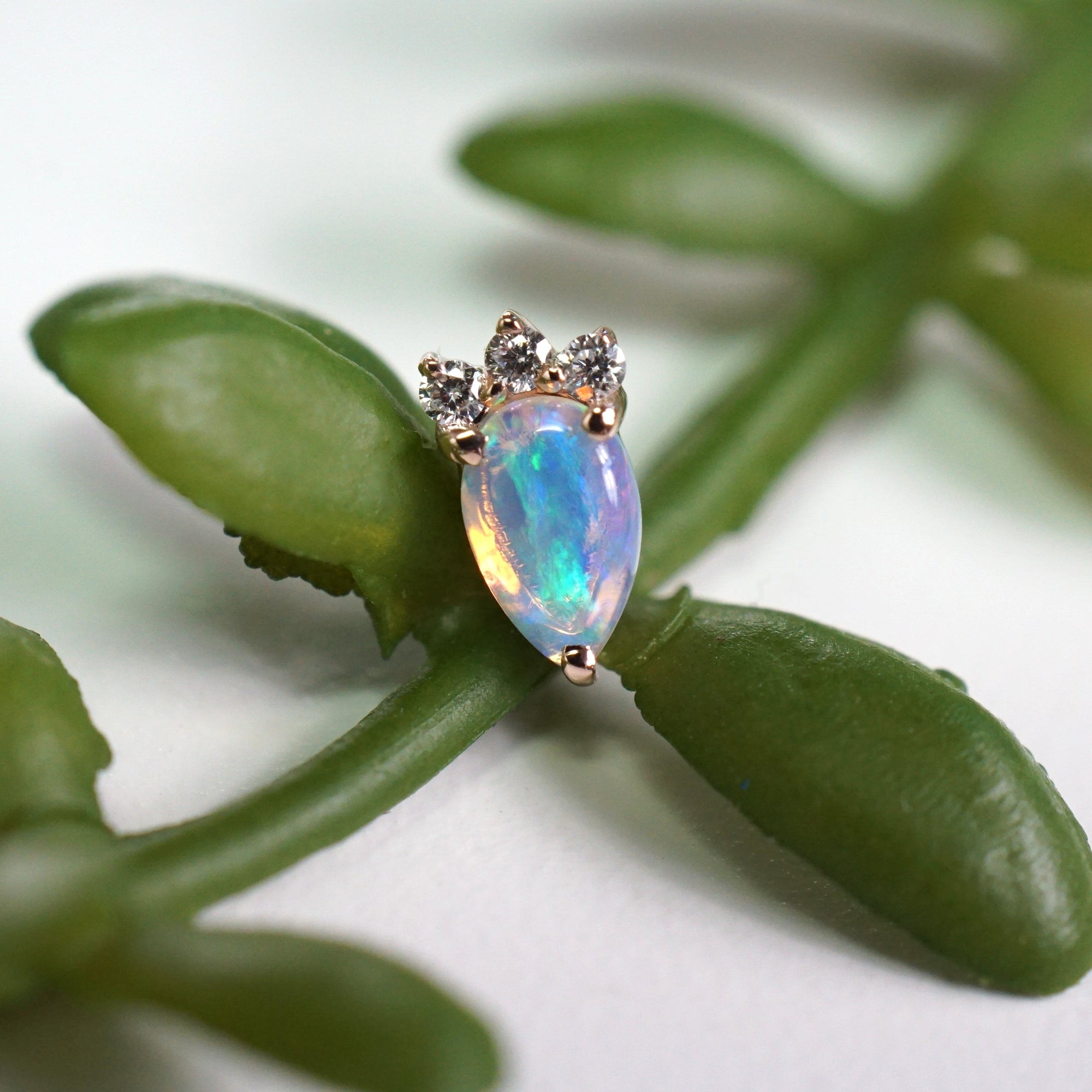 Leia - Pear Opal