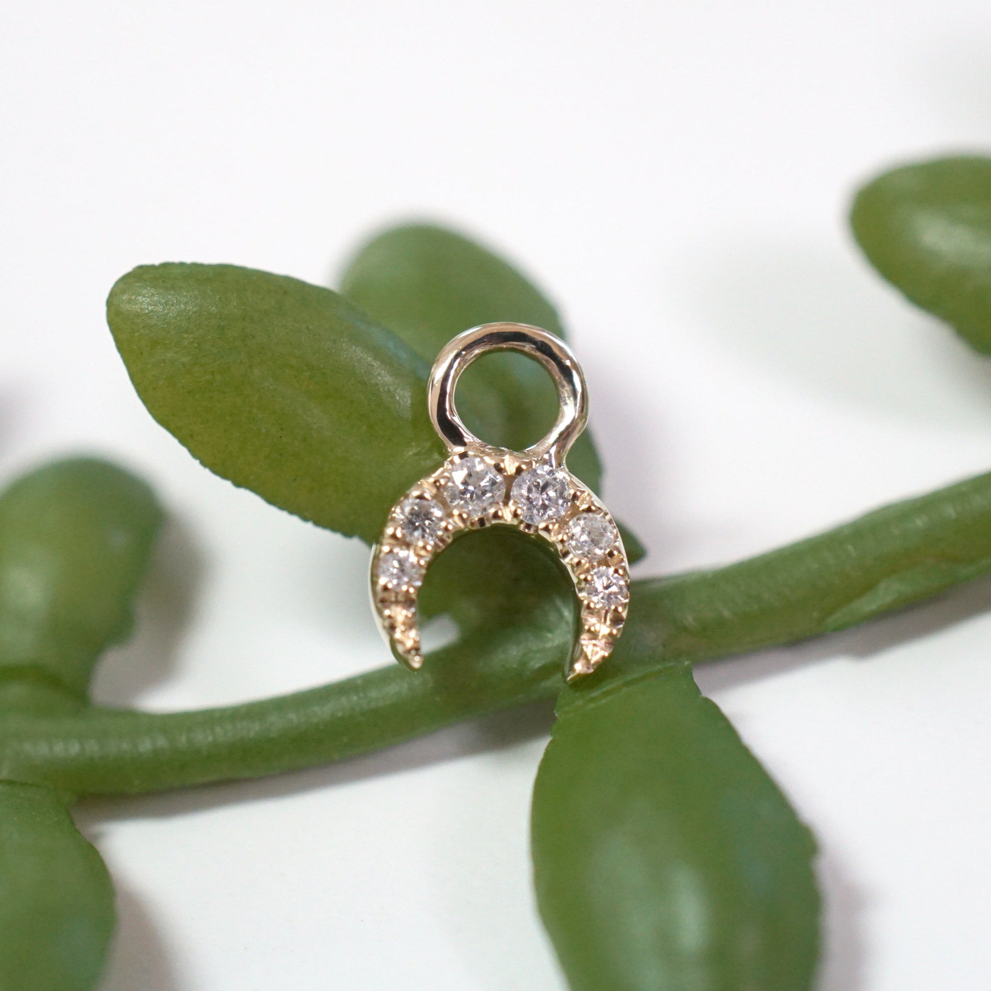 Ayla Charm - Double Horn