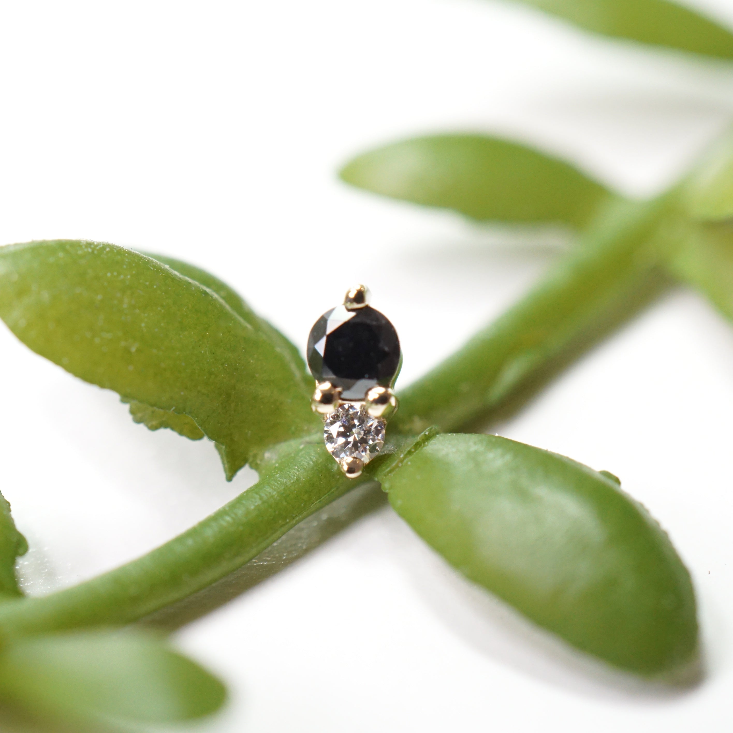 Pippa Diamond - All Diamond