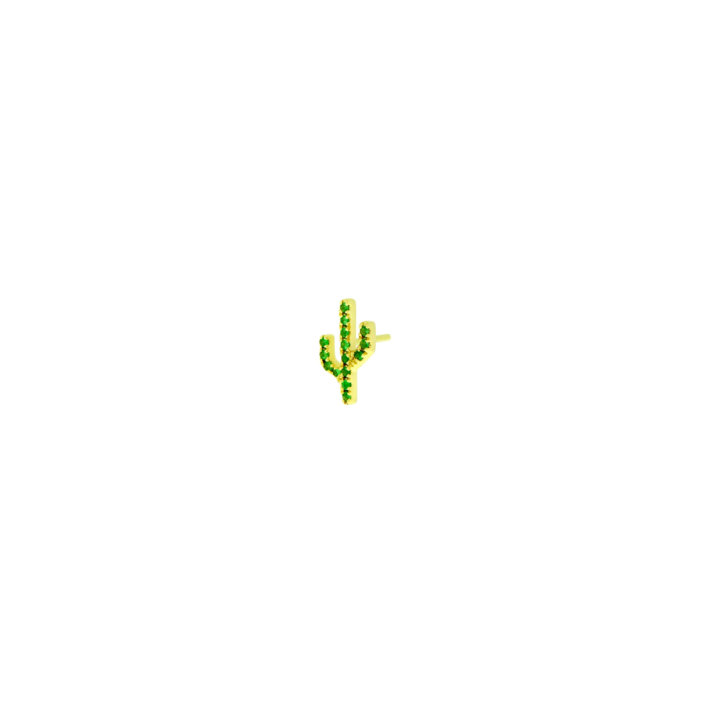 Cactus - Sonoran
